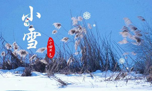 今日小雪丨天地初寒，愿歲月安暖